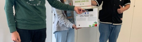 Projekt der 8b - Handys für Hummel, Biene & Co.