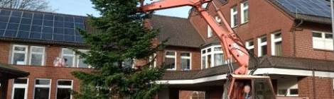 Making of - Tanne für's Glanzlichterfest ;-)