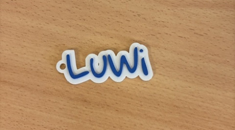 3D-Druck im WPK-Kurs der Ludwig-Windthorst-Schule Glandorf gestartet! 